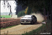 3-Städte Rallye 1990, Německo