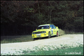 3-Städte Rallye 1990, Německo