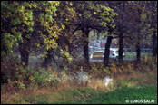 Rally Příbram 1993