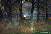 Rally Příbram 1993