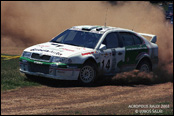 Acropolis Rally 2002