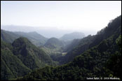 Madeira 2010 - Balcoes