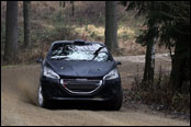 Test - Jan Černý - Peugeot 208 R2