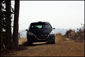 Test - Jan Černý - Peugeot 208 R2