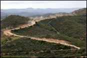 Vodafone Rally de Portugal 2014 - Tanak / Molder - Ford Fiesta RS WRC